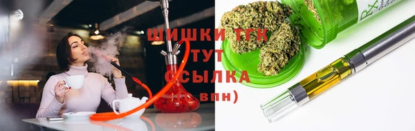 стаф Кулебаки