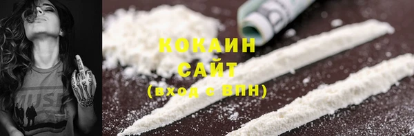 стаф Кулебаки