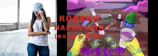 СК Куйбышев