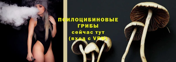 стаф Кулебаки