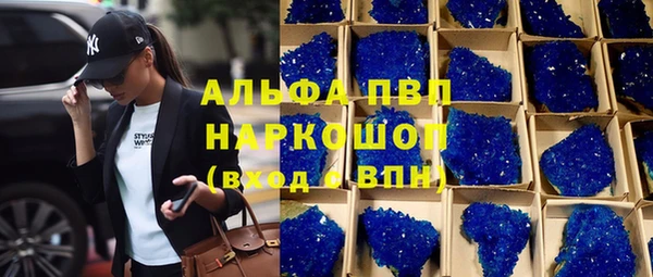 СК Куйбышев