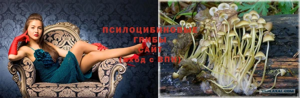 стаф Кулебаки