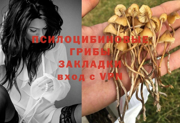 стаф Кулебаки