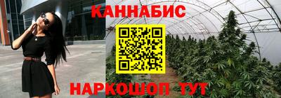 apvp Свободный