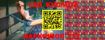 apvp Свободный