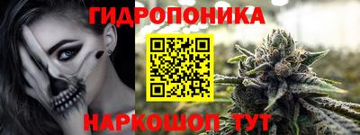 apvp Свободный