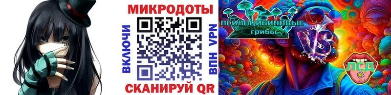 Галлюциногенные грибы Psilocybine cubensis  как найти закладки  omg сайт  Тында 