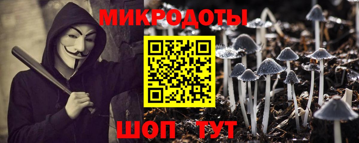 даркнет сайт  Вход с VPN  Тында  Псилоцибиновые грибы Psilocybe 