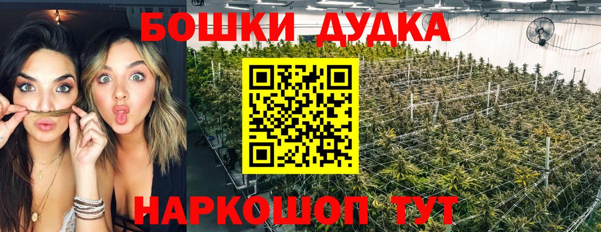 Шишки марихуана гибрид  Вход с VPN  МАРИХУАНА семена  Марихуана марихуана  Тында 